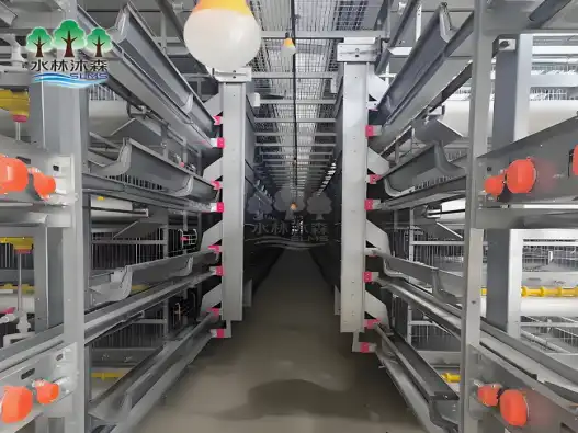 What are the latest innovations in automated broiler cage cleaning systems?